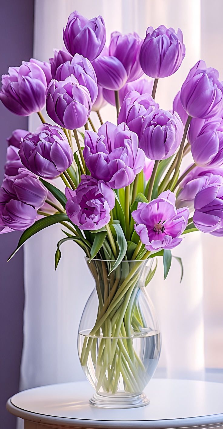 Tulipán
